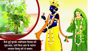 Tulsi Shaligram Marriage