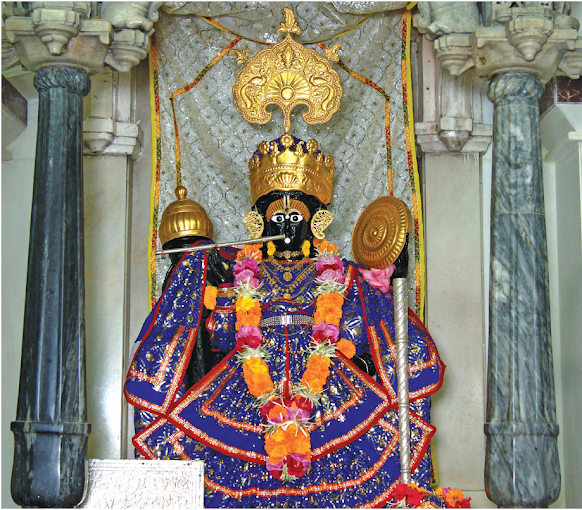 Shree Shamlaji Vishnu Mandir