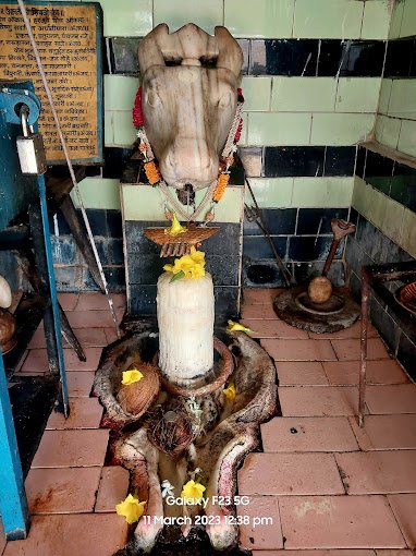 Dongeshwar Mahadev Jangalpur, Chhattisgarh