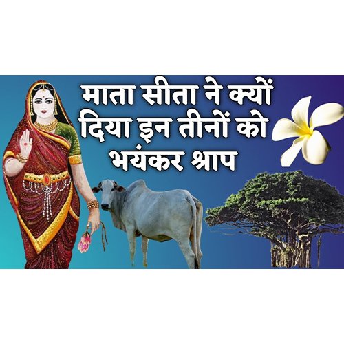 Mother Sita had cursed these three in Gayaji