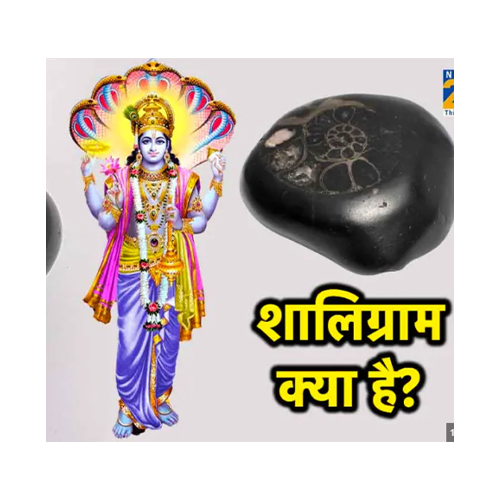 What is Shaligram stone??