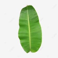 Banana leaf i.e. Advaita in duality