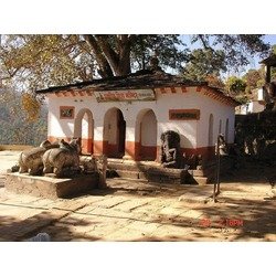 Taleshwar Temple Samyawalli, Uttarakhand