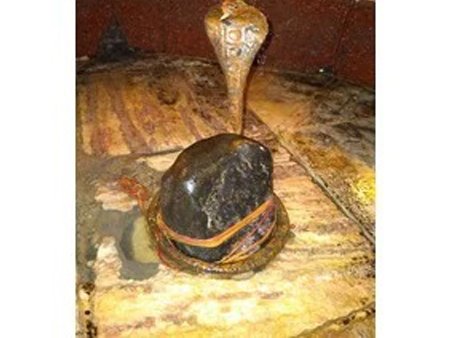 Madheshwar Nath Mandir Arwal,Bihar