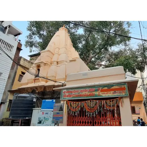 Shri Nagchandeshwar Mahadev/Shri Nagchandreshwar Mahadev Mandir (19/84) Kamri Marg, Ujjain, Madhya Pradesh
