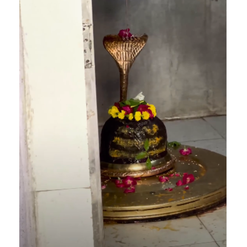 Indradyumneshwar Mahadev Mandir (15/84) Ujjain, Madhya Pradesh