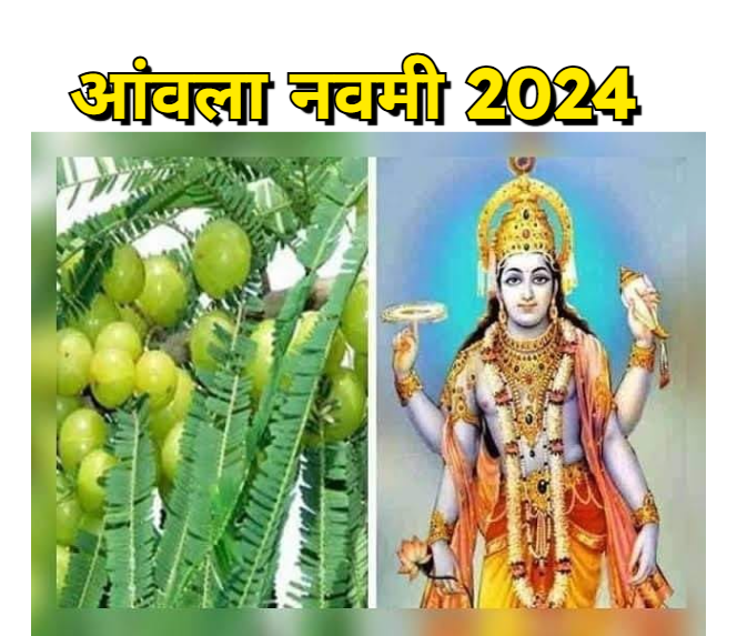 Amla Navami 2024