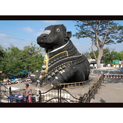 Nandikeshwar Mahadev/Sri Nandi Temple Chamunda Hill Mysore,Karnatak