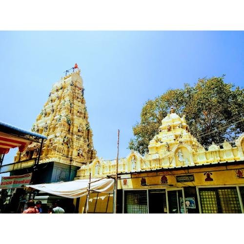 Malikeshwar Swami/Sri Malleswara Swamy Vari Devasthanam Pedakakani,Andhra Pradesh