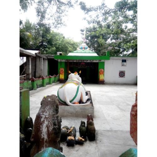 Amareswar Mahadev Mandir Gopa Kendrapara,Odisha