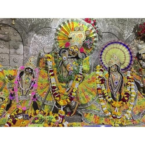 Shri Radha Damodar Mandir Vrindavan