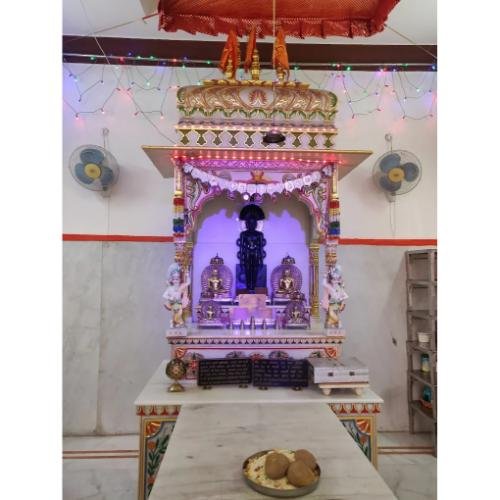 Shri 1008 Parshvnath Digamber Jain Mandir/Digambar Jain Temple Parshwanath Mandir,Tarapet,Vijayawada,NTR,Andhra Pradesh