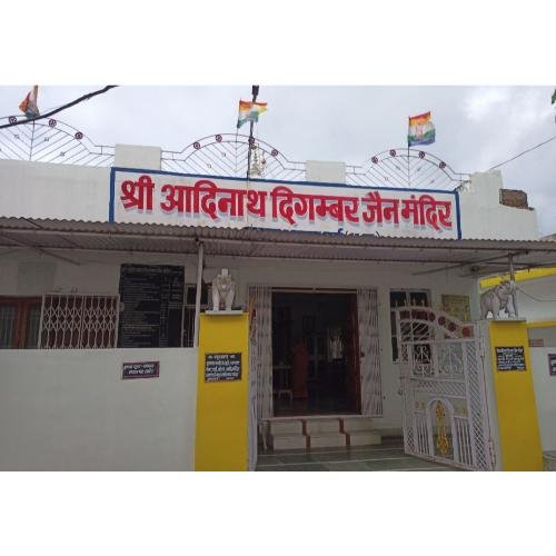 Shri Adinath Digamber Jain Mandir, Mahavir Colony, Rishabh Nagar,Durg,Chhattisgarh