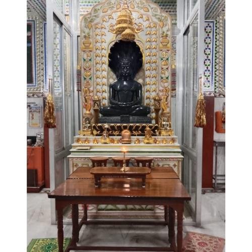 Shri Parshvnath Digamber Jain Mandir, Ward No 20, Moharpara, Manendragarh, Manendragarh-Chirmiri-BharatpurChhattisgarh