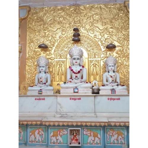 Shri Jain Dadawadi/Durg Dada Badi Jain Mandir Malviya Nagar,Durg,Chhattisgarh