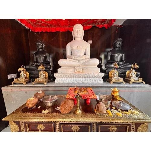 Shri Shantinath Digamber Jain Mandir/Shri 1008 Shantinath Digambar Jain Mandir Ashoka Ratna,Aarti House,Mowa,Raipur,Chhattisgarh