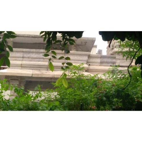 Shri Adinath Jain Derasar, Somnath Prabhashankar Dave Marg, Pankaj Society, Paldi, Ahmedabad,Gujarat