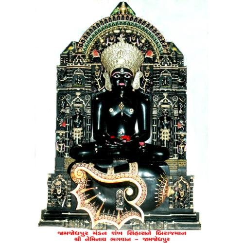 Shri Neminath Bhagwan Jain Shwetamber Mandir, Jamjodhpur,Jamnagar,Gujarat