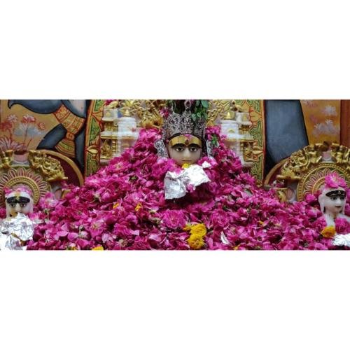 Shri Adinath Bhagwan Jain Derasar, Dariya Mahal Road, Nanavat,Surat,Gujarat