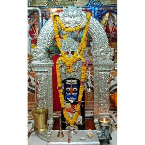 Shri Shani Maharaj Temple Aali,Kapasan(Chittorgarh),Rajasthan