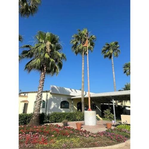 GURUDWARA SINGH SABHA PONTINIA 47 NO Sezze Latina,Italy