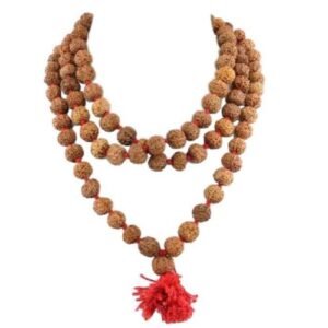 5 Mukhi Big Size Rudraksh Mala