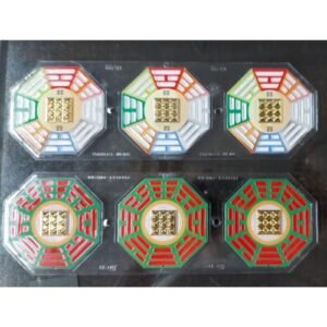 Door in & Out Super Protect 9X9