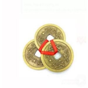 Fangshuai Coins