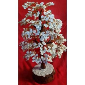 Gomti Chakra Tree 500 Beeds