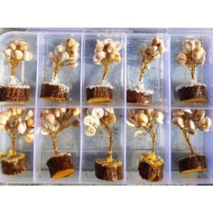 Gomti Chakra Tree Box in 10 Pics set