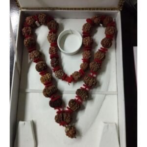 Rudraksh Sidha Kantha