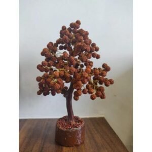 Rudraksh Tree 54 Beeds