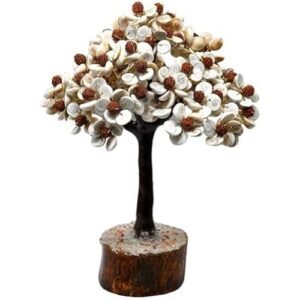 Rudraksh Tree mix 54