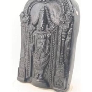 Shaligram Tirupathi Balaji Murthi