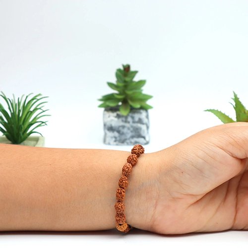 2 MUKHI RUDRAKSHA BRACELET (Compact Size) by Gangtarang® with Lab Certificate