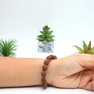 2 MUKHI RUDRAKSHA BRACELET by Gangtarang® with Lab Certificate