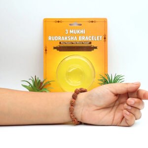 3 MUKHI RUDRAKSHA BRACELET (Adjustable Sliding Knot) by Gangtarang® with Lab Certificate