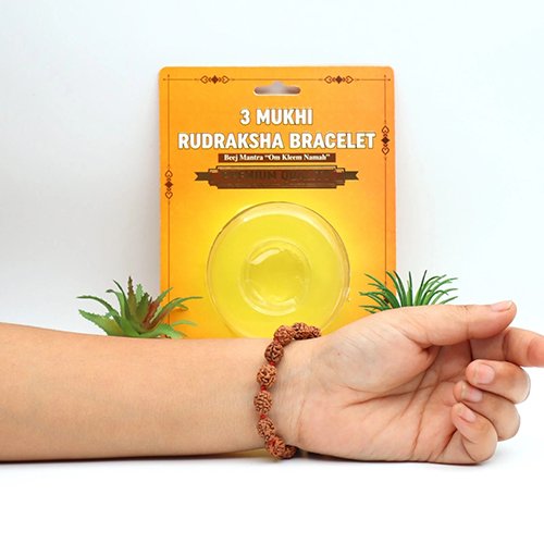 3 MUKHI RUDRAKSHA BRACELET (Adjustable Sliding Knot) by Gangtarang® with Lab Certificate