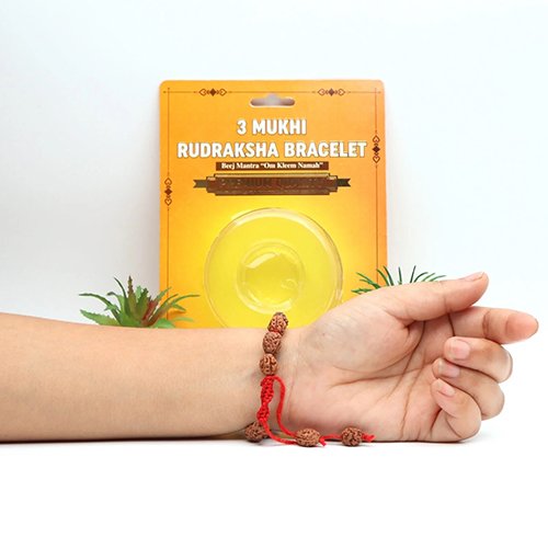 3 MUKHI RUDRAKSHA BRACELET (Adjustable Sliding Knot) by Gangtarang® with Lab Certificate - Image 2