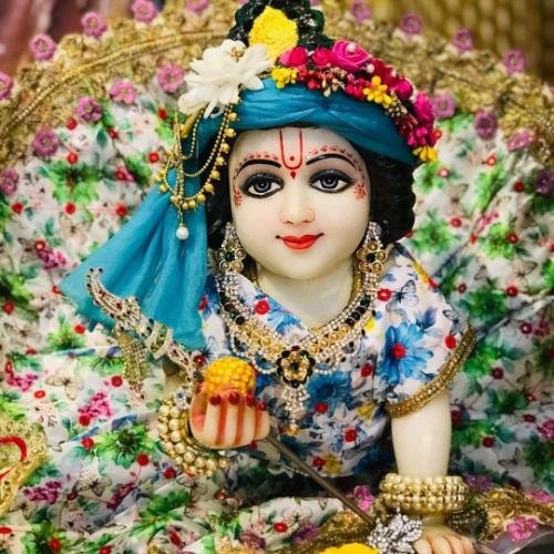 Laddu Gopal ji