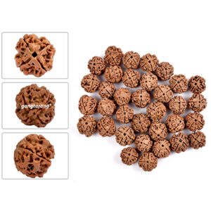 4 MUKHI RUDRAKSHA by Gangtarang®