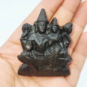 ADVAIT LAKSHMI NARAYAN IDOL CARVED ON REAL SHALIGRAM (100% NATURAL SUDARSHAN) by Gangtarang™