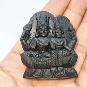 ADVAIT LAKSHMI NARAYAN IDOL CARVED ON REAL SHALIGRAM (100% NATURAL SUDARSHAN) by Gangtarang™