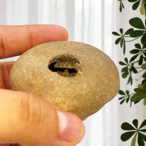ADVAITYA GOVIND SHALIGRAM – Oldest Shila (RARE)
