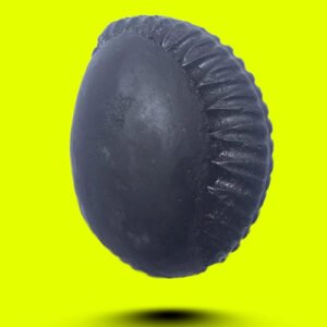 DAMODAR SHALIGRAM by Gangtarang®