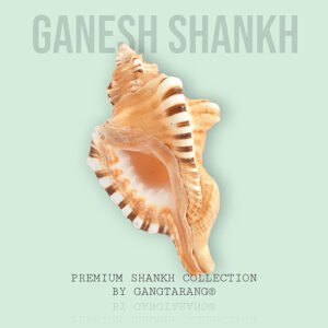 Rated 4.50 out of 5 GANESH SHANKH by Gangtarang®: 4 Inch