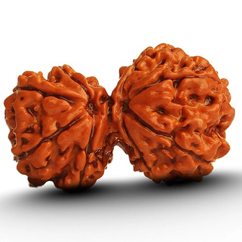 GAURI SHANKAR RUDRAKSHA by Gangtarang®