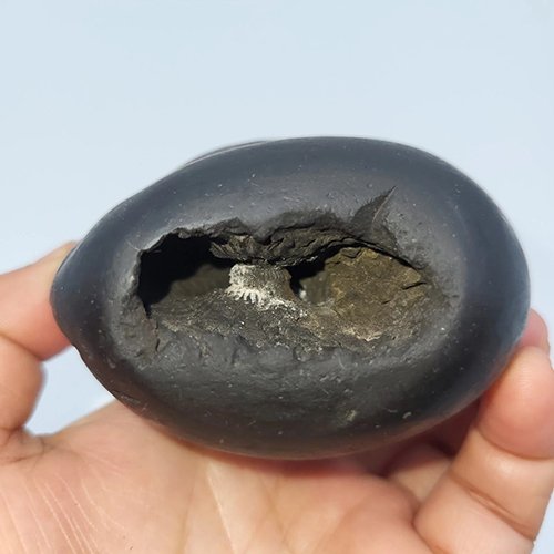 KALKI TRIVIKRAM SHALIGRAM – Revelation of Kalyug God (3 Chakra) (RARE) - Image 2