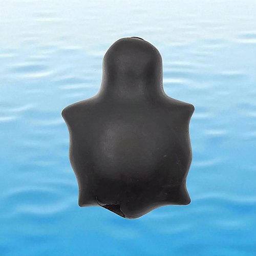 KURMA SHALIGRAM – 4 CHAKRA (2 IN MOUTH + 2 IN TAIL) (RAREST ON EARTH)