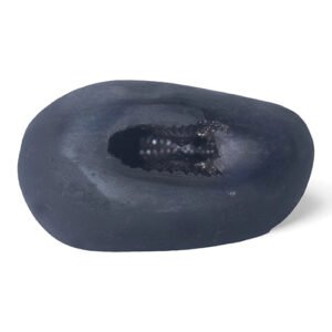 LAKSHMI NARAYAN SHALIGRAM by Gangtarang®